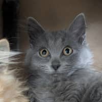 Photo of 👒 Freya 5867 👒