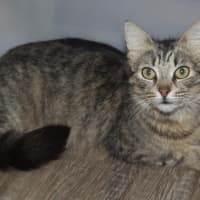 Photo of 💗 Billy Jo 💗