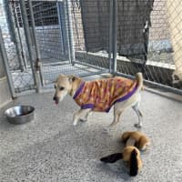 Photo of Buster