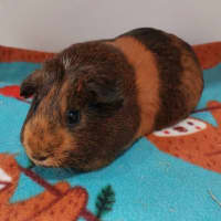 Photo of Charlotte