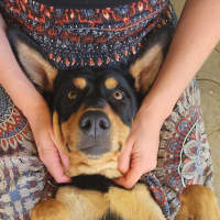 Photo of Narla