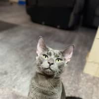 Photo of Eddi