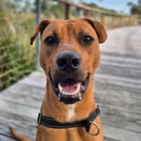 Photo of Holden