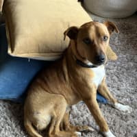 Photo of Diggie Smalls