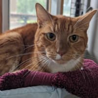 Photo of Charlie