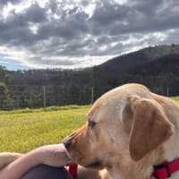 Photo of Molly 