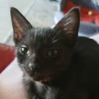 Photo of Zippy