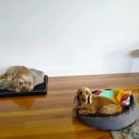 Photo of Mississippi