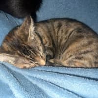 Photo of Frankin