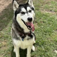 Photo of Bucky