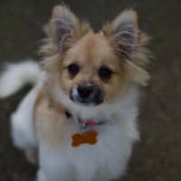 Photo of ☀️ Sonny ☀️