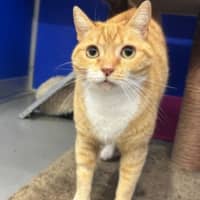 Photo of Dot