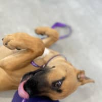 Photo of Mocha