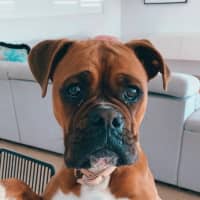 Photo of Tilly & Teddy