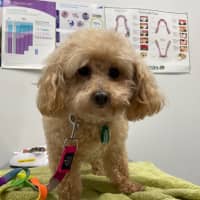 Photo of Belle And  Twaylah