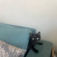 Photo of Moni