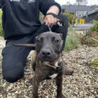 Photo of Long Walk On The Beach