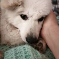 Photo of Keiko