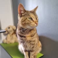 Photo of Eloise