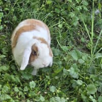 Photo of Aluna & Abby