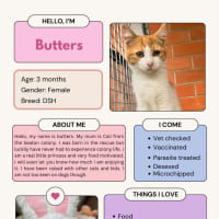 Photo of Butters