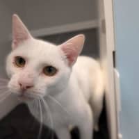Photo of Mr Snow