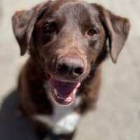 Photo of Charlie 