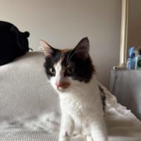 Photo of Margarita
