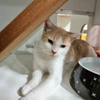 Photo of Sandy