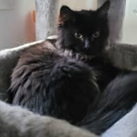 Photo of Kassidy