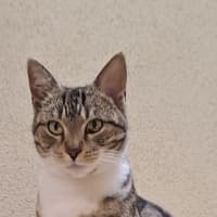 Photo of Mindy