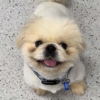 Photo of Snowy