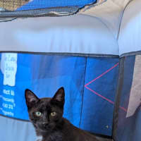Photo of Xenon