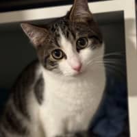 Photo of Hank & Halle