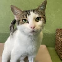 Photo of Princess Charlotte