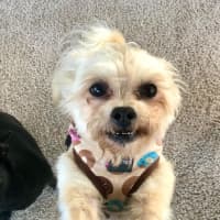 Photo of Milo & Angel