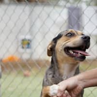 Photo of Matilda