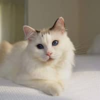 Photo of Tilly