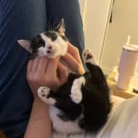 Photo of Rocket Scott