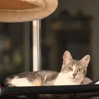 Photo of Janie