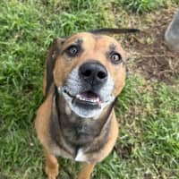 Photo of Scooby 