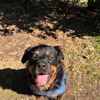 Photo of Maggie May
