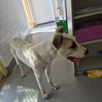 Photo of Lolly! 🍭 