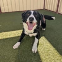 Photo of Ralph
