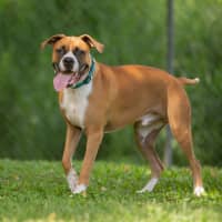 Photo of Bucky