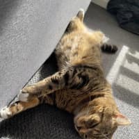 Photo of Bryant Russelton