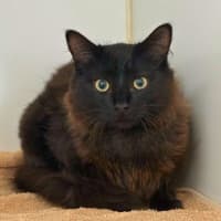 Photo of Haru