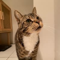 Photo of Chester   Located In Richmond