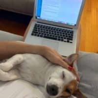 Photo of Jacky Chan Peggotty