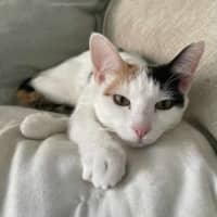 Photo of Rhonda